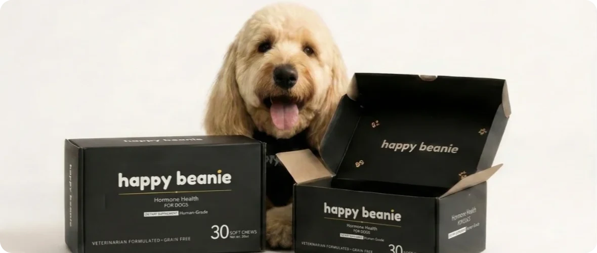 Goldendoodle with the Happy Beans for Dogs boxes